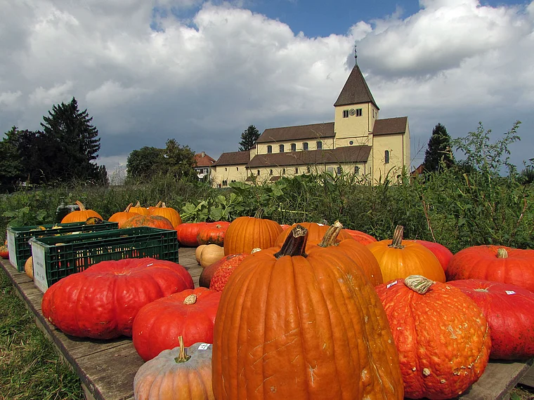 Insel Reichenau St. Georg Kürbisse