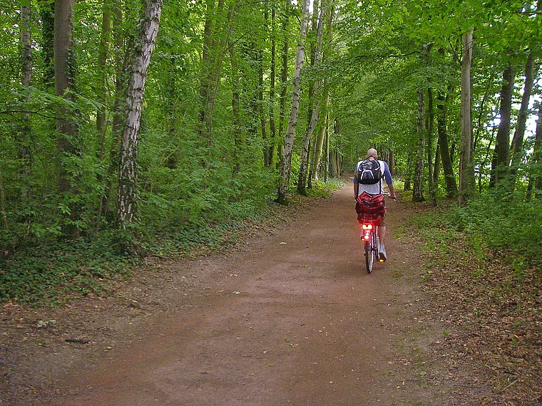 Schinderhannes Soonwald Radweg mit Radfahrer