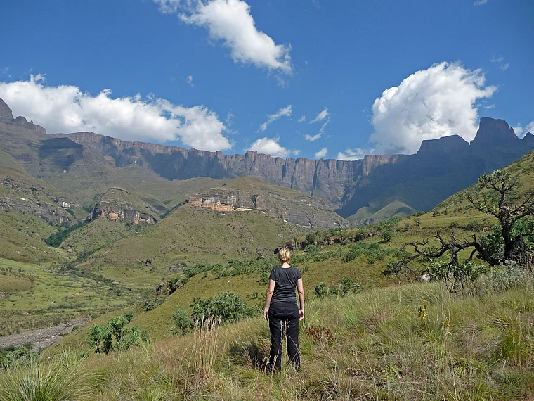  Südafrika Drakensberge Blick auf Amphitheater von fern