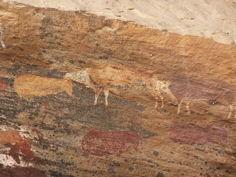 Südafrika Drakensberge Giant's Castle San Höhle Felszeichung jagdbare Tiere nah