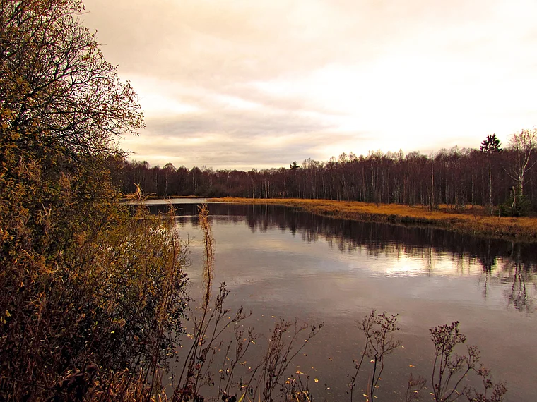 Gersfeld Rotes Meer