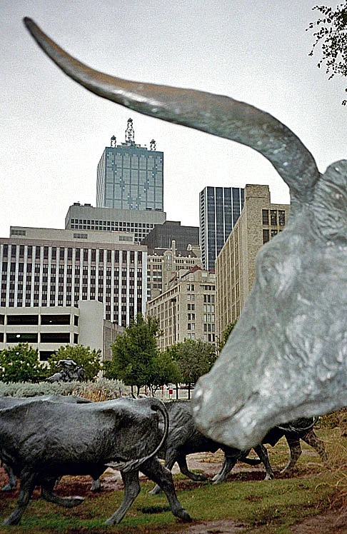 Dallas Texas Pioneer Plaza Rind nah