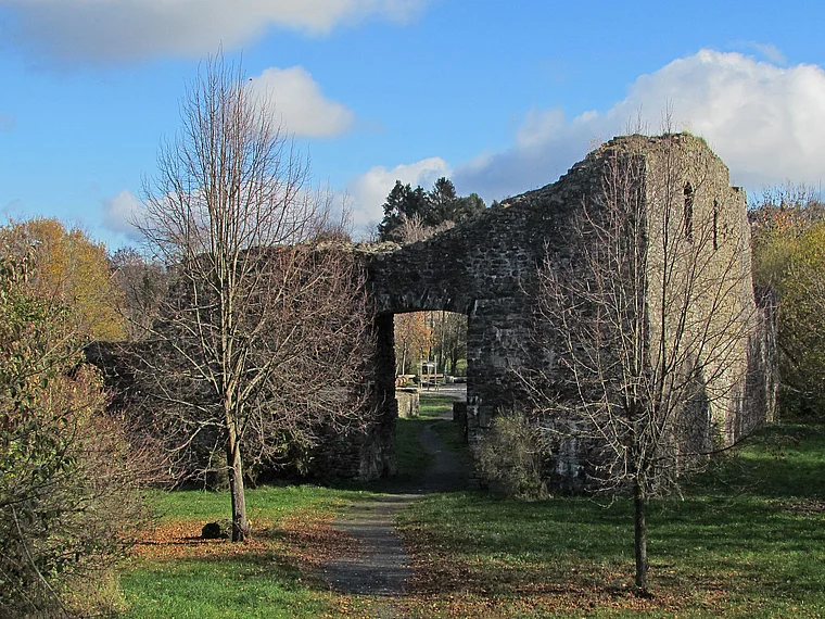 Driedorf Schloss Westseite