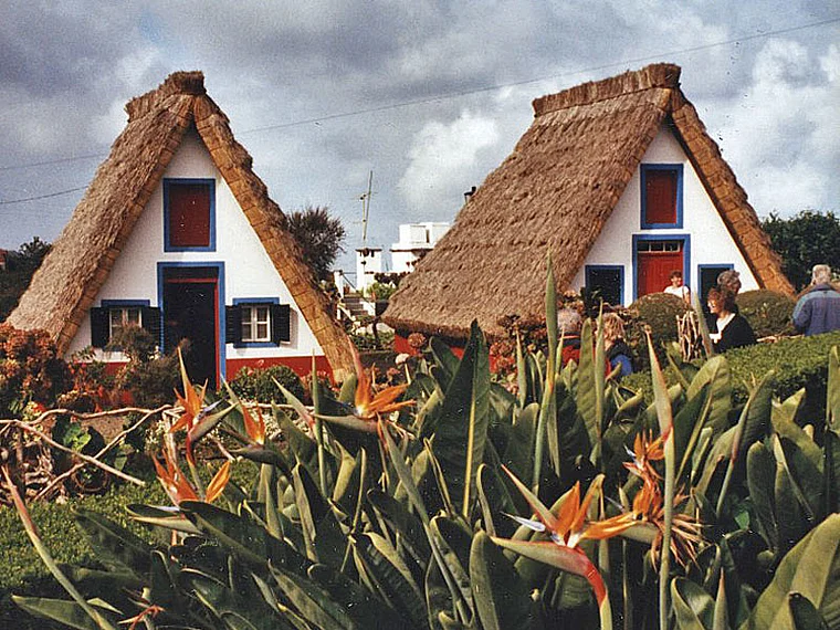 Madeira Santana Strelitzien Landhäuser