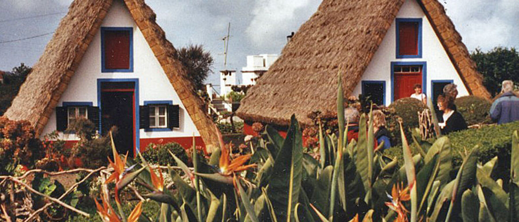 Madeira Santana Strelitzien Landhäuser
