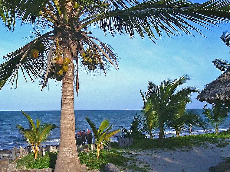 Tansania Bagamoyo Strand mit Palmen