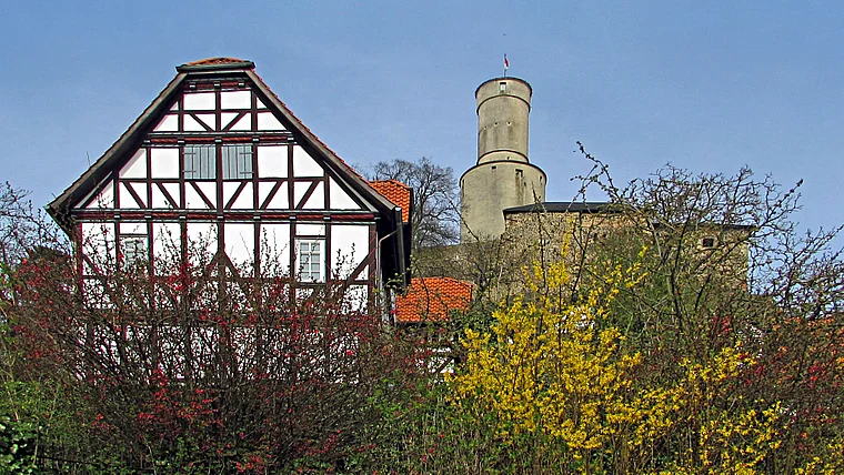 Felsberg Burg Frühling