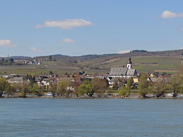 Oestrich-Winkel vom Rhein