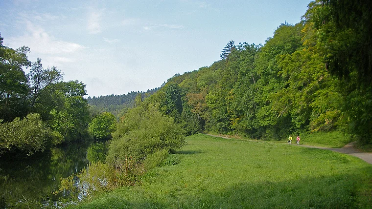 Fridingen Donau Radweg mit Radfahrern