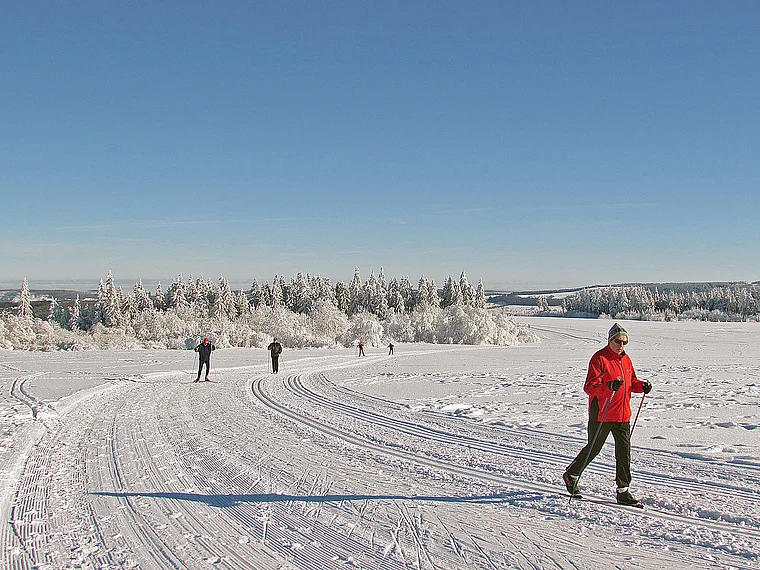 Gersfeld Wasserkuppe Loipe