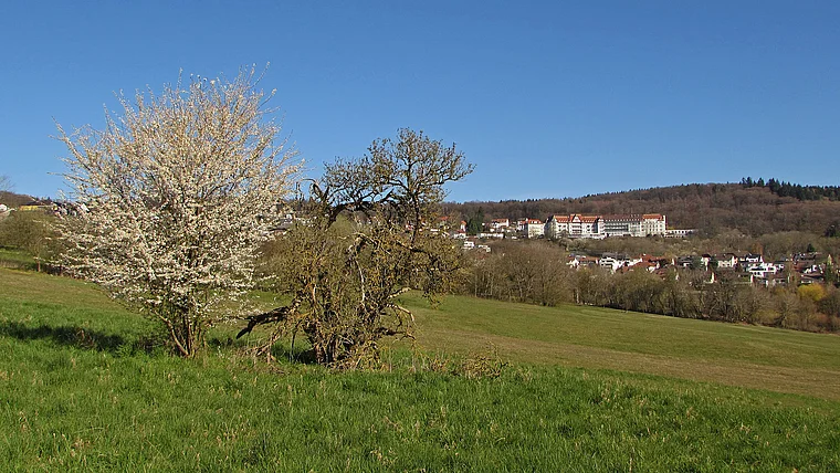 Kelkheim Ruppertshain von fern Frühling