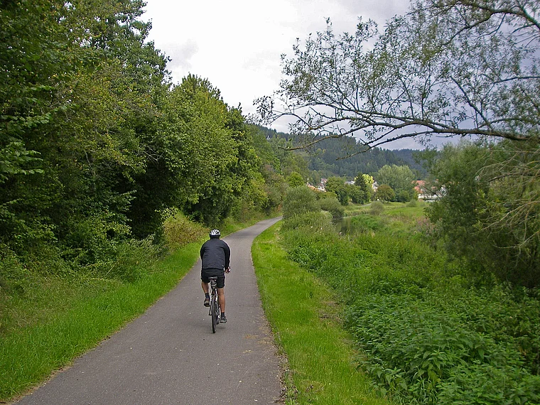 Immendingen Donau Radweg mit Radfahrer