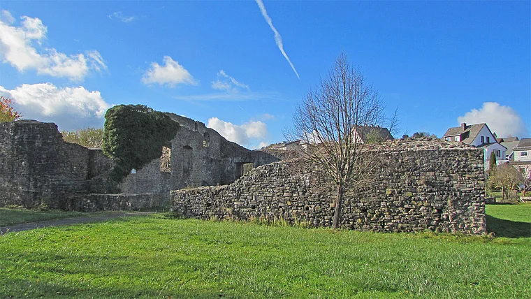 Driedorf Schloss Ostseite