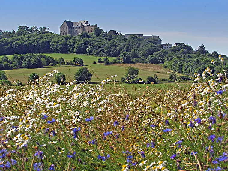 Hohenahr Burg Hohensolms