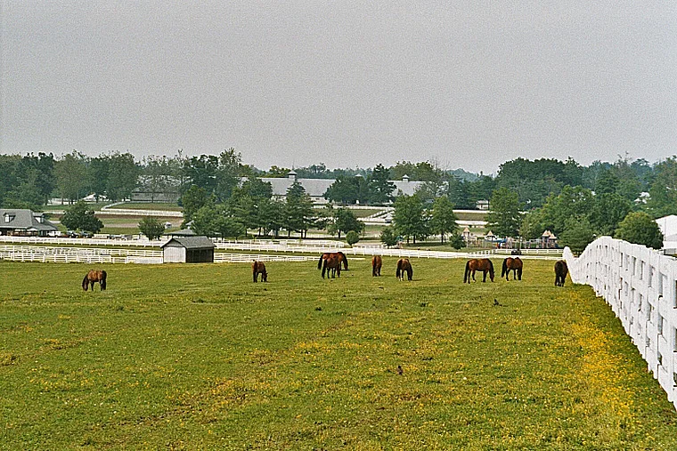 Lexington Kentucky Horse Park Weide mit Pferden