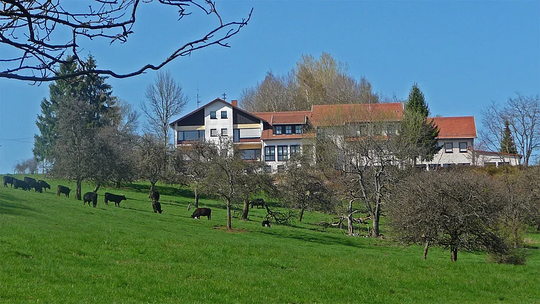 Saarland Scheiden Pension Paradies außen