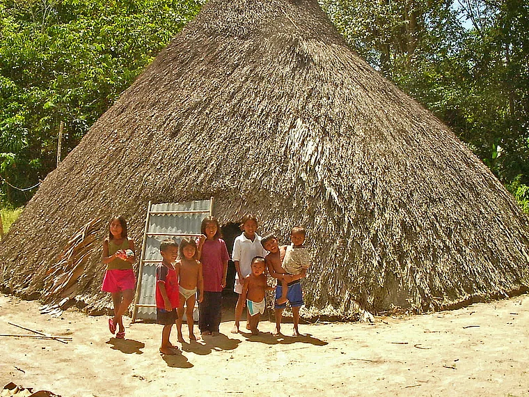 Venezuela Piaroa Strohhütte