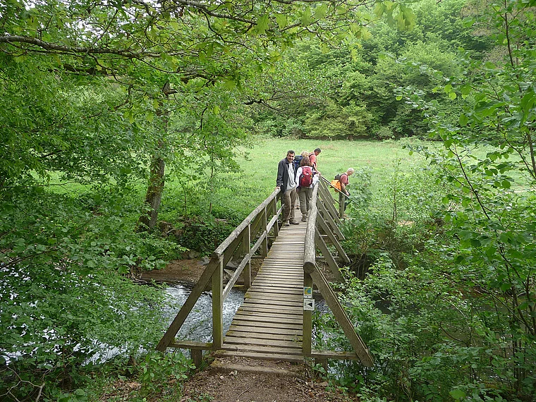 Vulkaneifel Lieserpfad Holzbrücke mit Wanderern