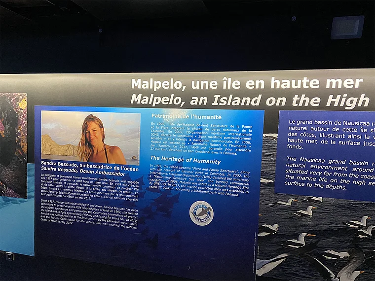 Boulogne-sur-Mer Aquarium Sandra Bessudo