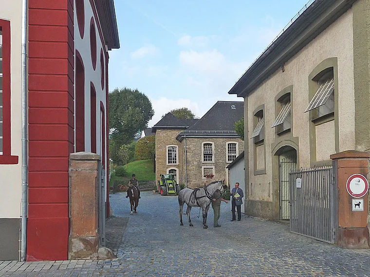 Dillenburg Hessisches Landgestüt