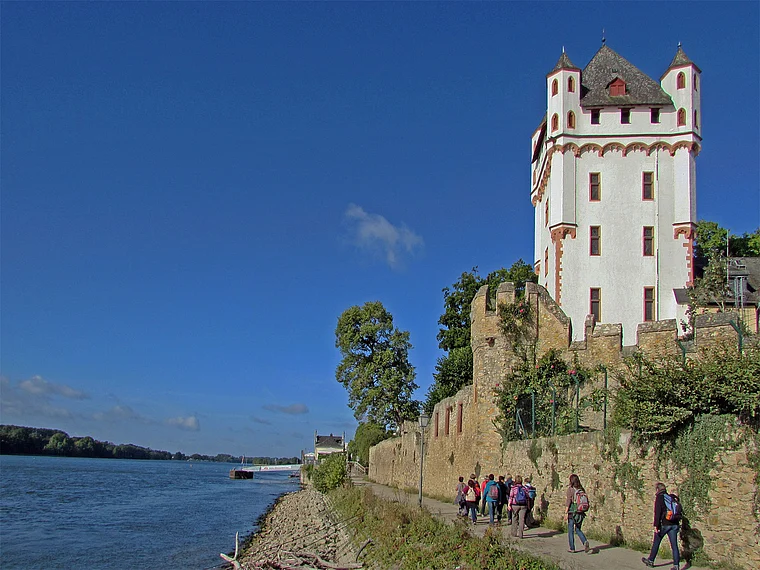 Eltville Burg