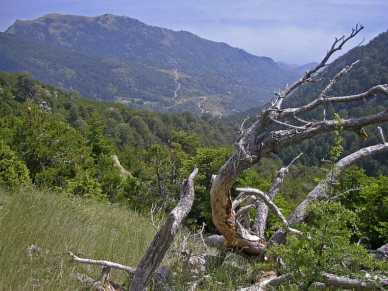 Peloponnes Taygetos Aussicht