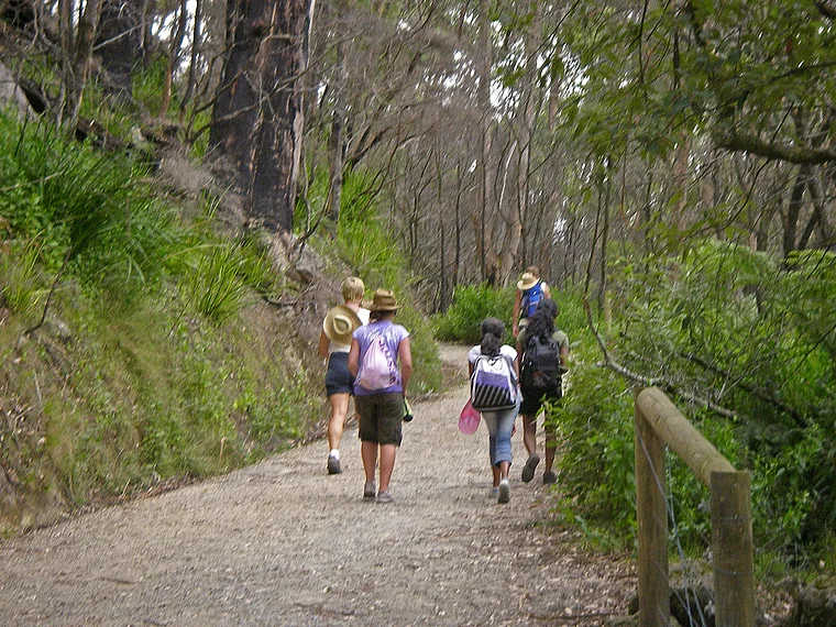 Australien Wilsons Prom Mount Oberon Wanderer