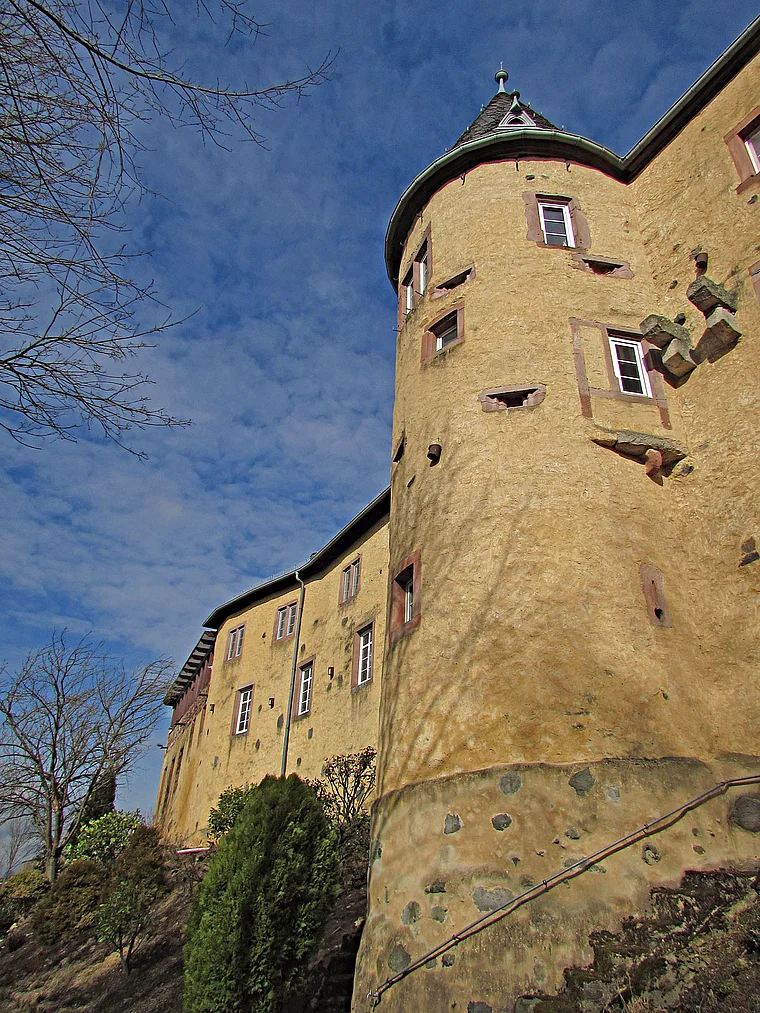 Birstein Schloss nah