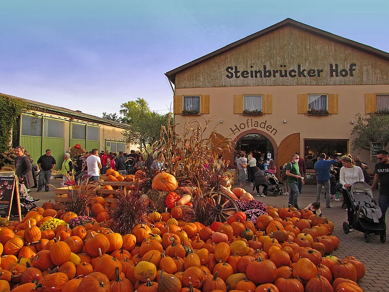 Weiterstadt Steinbrücker Hof