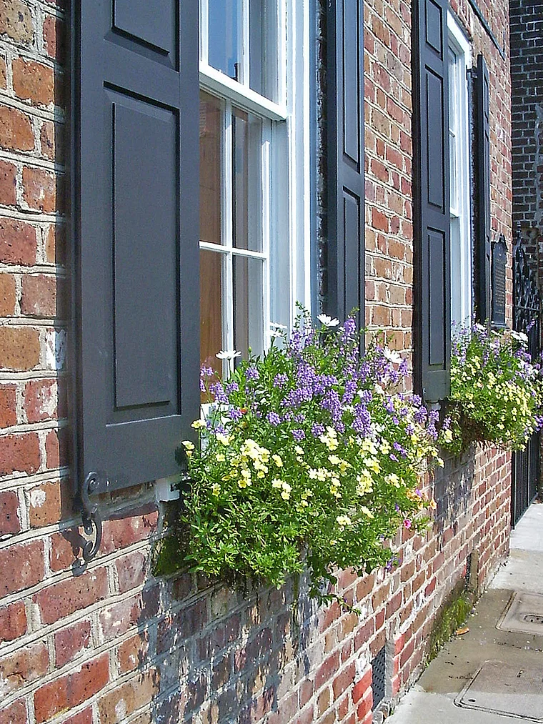 South Carolina Charleston Fenster mit Blumen