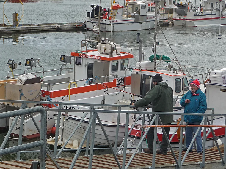 Island Bolungarvik Hafen mit Fischern