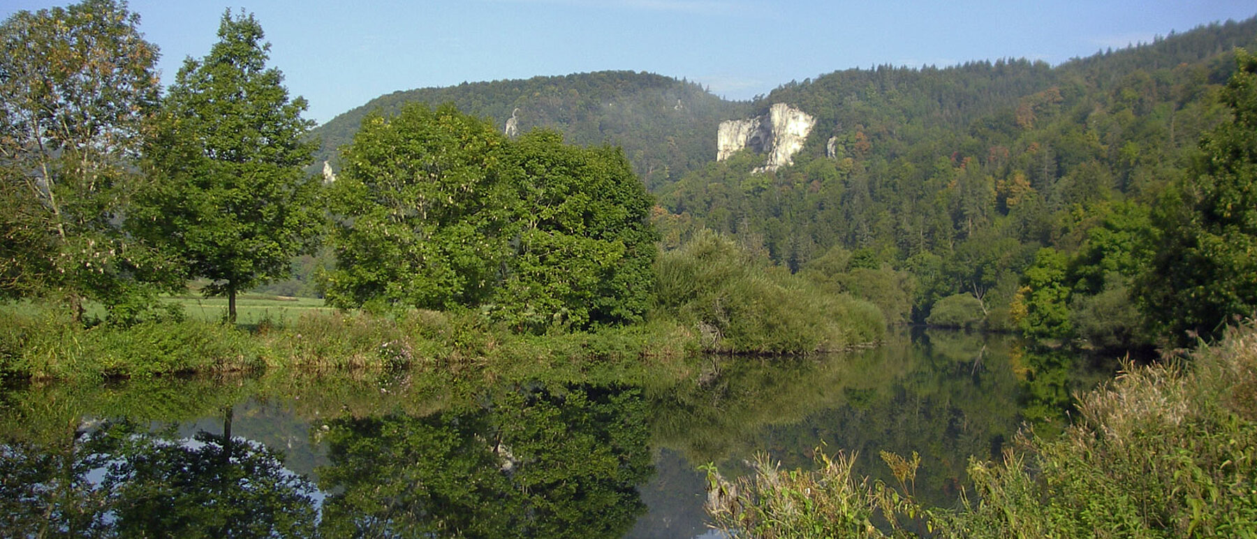 Die junge Donau