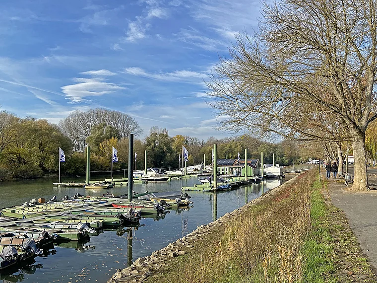 Ginsheim-Gustavsburg Altrhein Boote