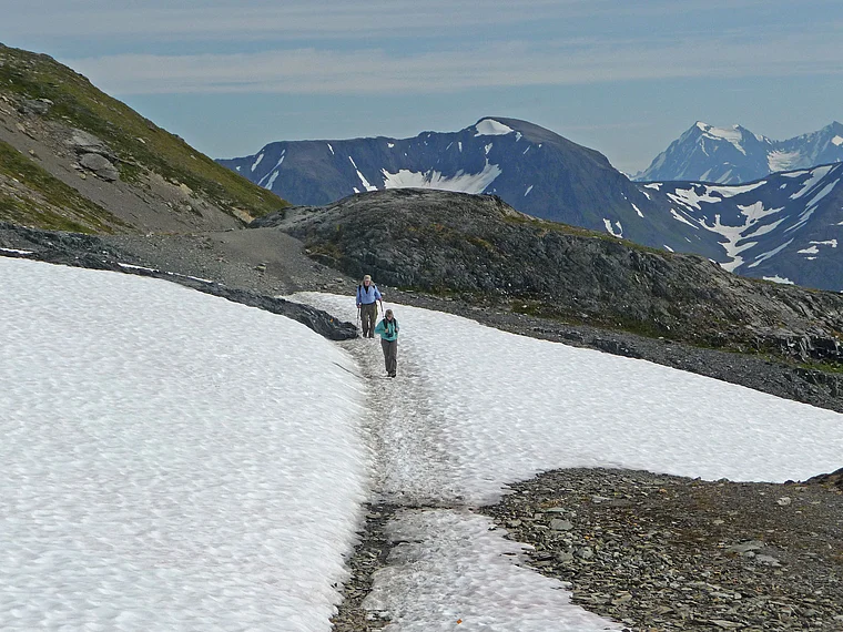 Alaska Seward Exit Glacier Wanderer