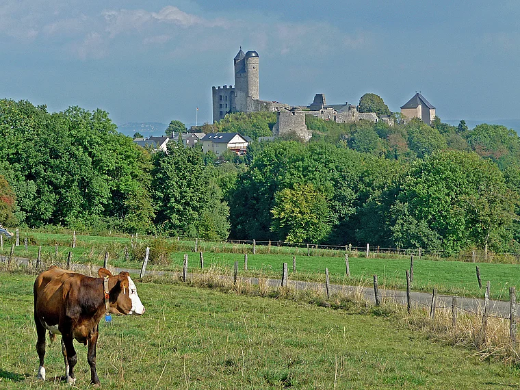 Greifenstein (Westerwald) Burg von fern