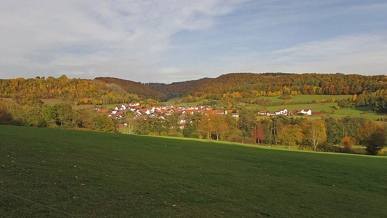 Schlüchtern Kressenbach von fern