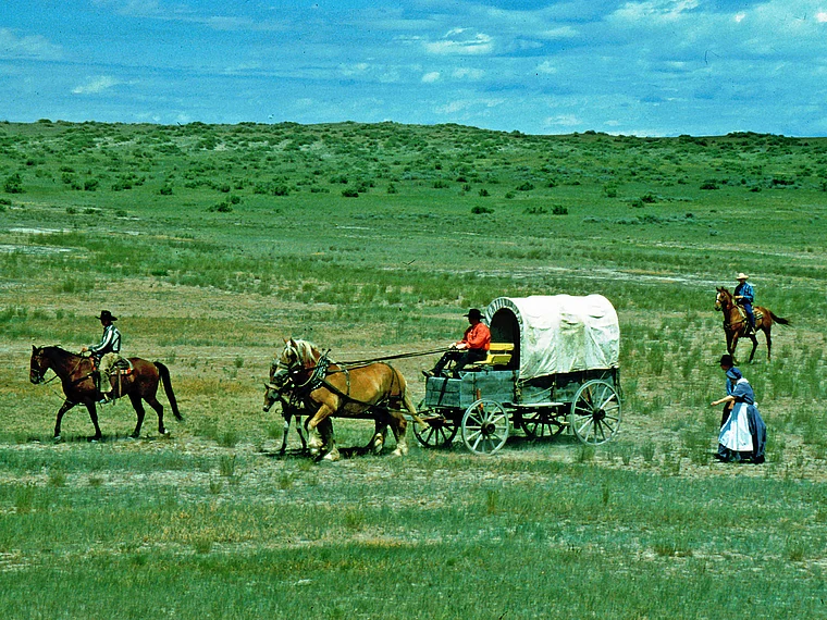 Hardin Montana Custer's Last Stand Reenactment Planwagen mit Pferden