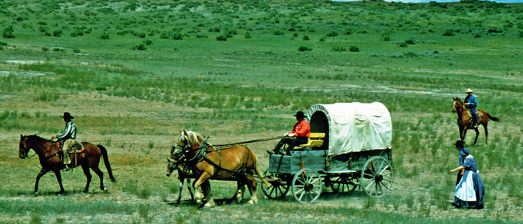 Hardin Montana Custer's Last Stand Reenactment Planwagen mit Pferden