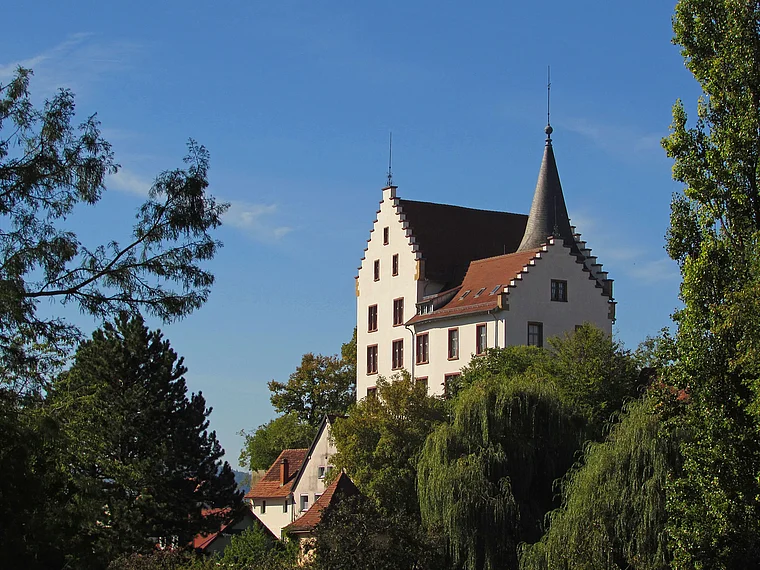 Engen Krenkinger Schloss