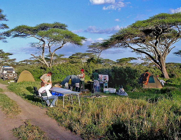 Tansania Safari Camping im Busch