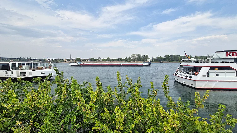 Mainz Schiffe auf dem Rhein
