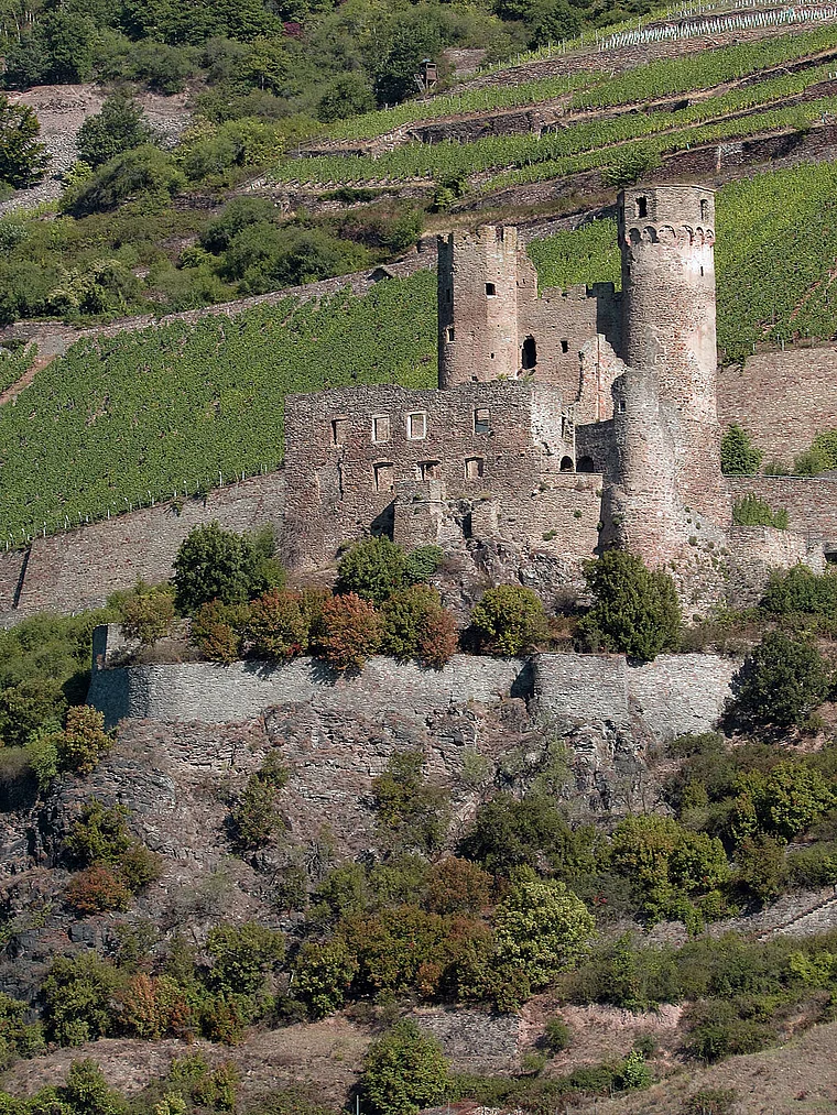Rüdesheim Burg Ehrenfels