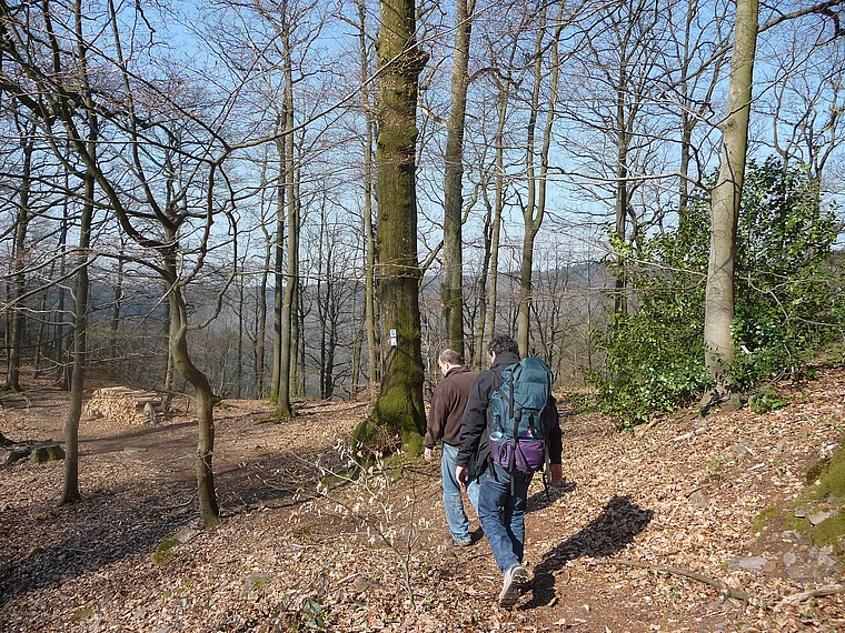Saar-Hunsrück-Steig Wanderer auf Waldpfad