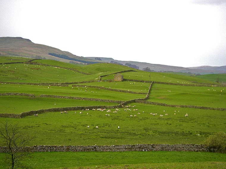 Yorkshire Dales Steinmauern