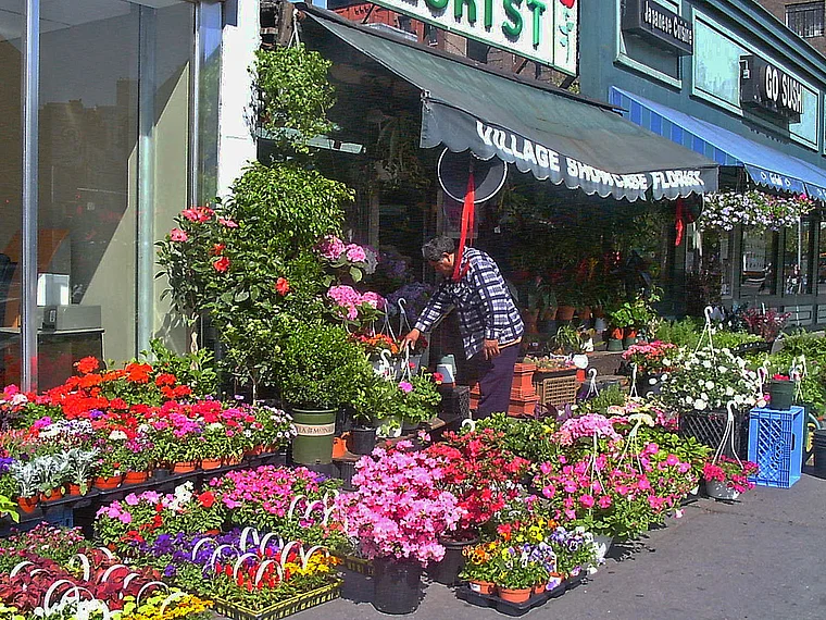 New York Greenwich Village Blumenladen
