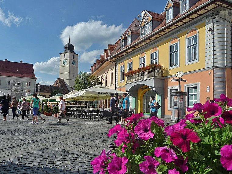 Rumänien Sibiu Großer Ring Petunien