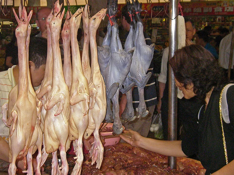 Jangtsekiang Chongqing Markt Geflügel