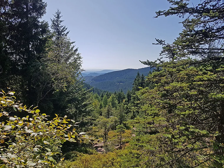 Oberhof Thüringer Wald Panorama