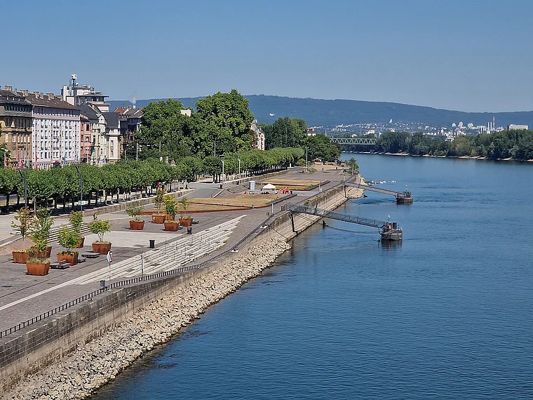Mainz Rhein Niedrigwasser