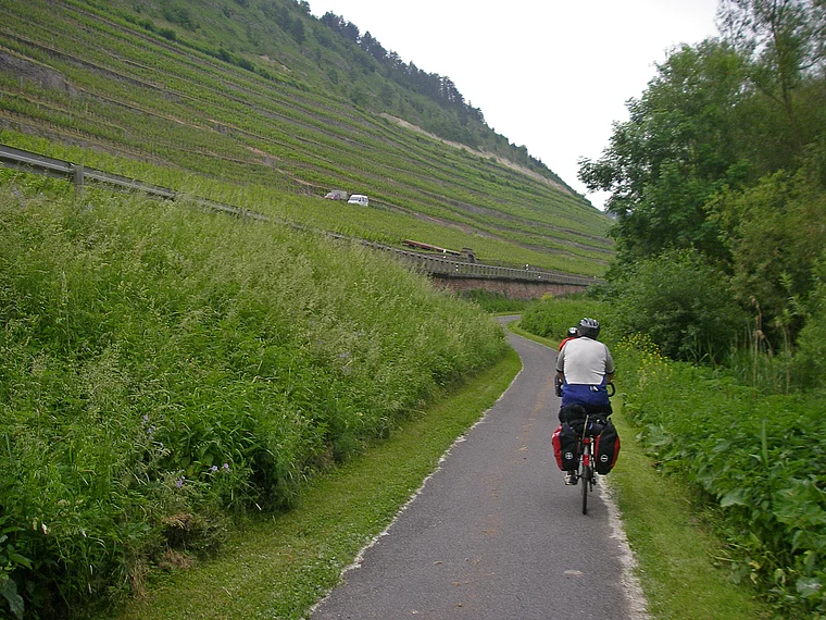 Main-Radweg bei Homburg